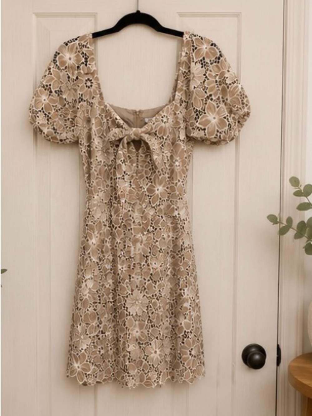 Beige Floral Lace Tie-Front Dress